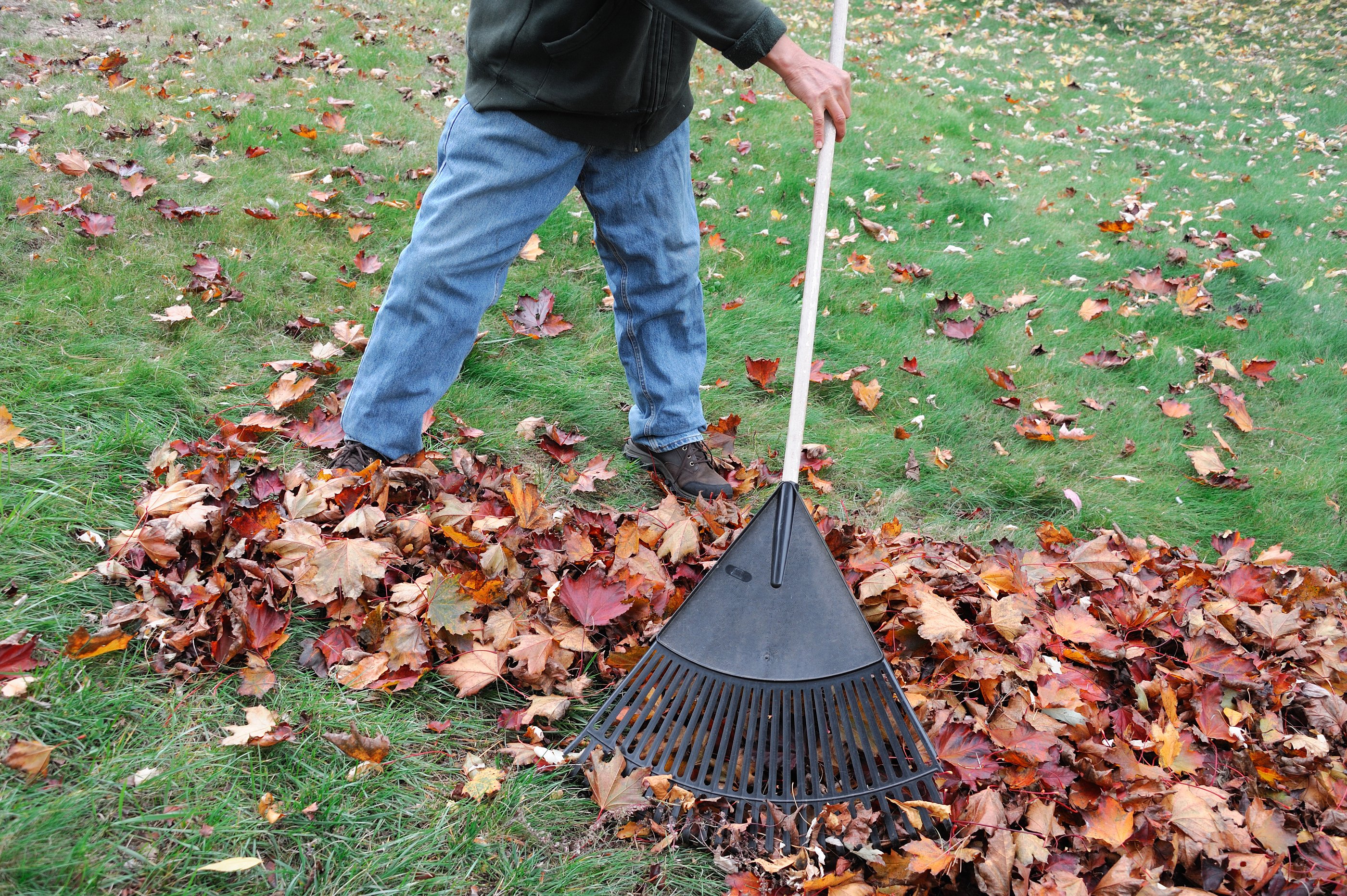 guy raking