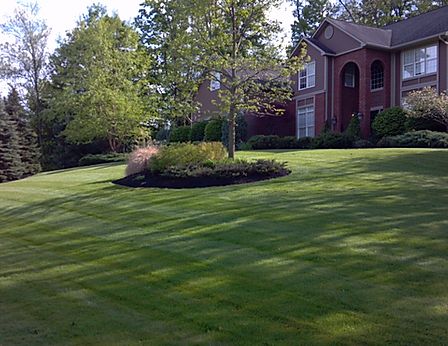 Landscaping Services