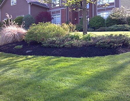 Landscaping Services