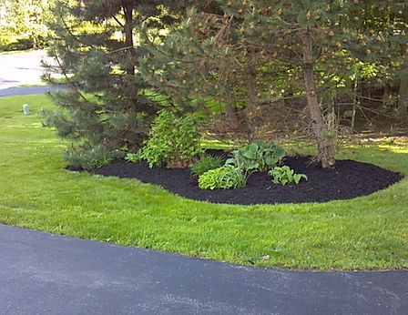 Landscaping Services